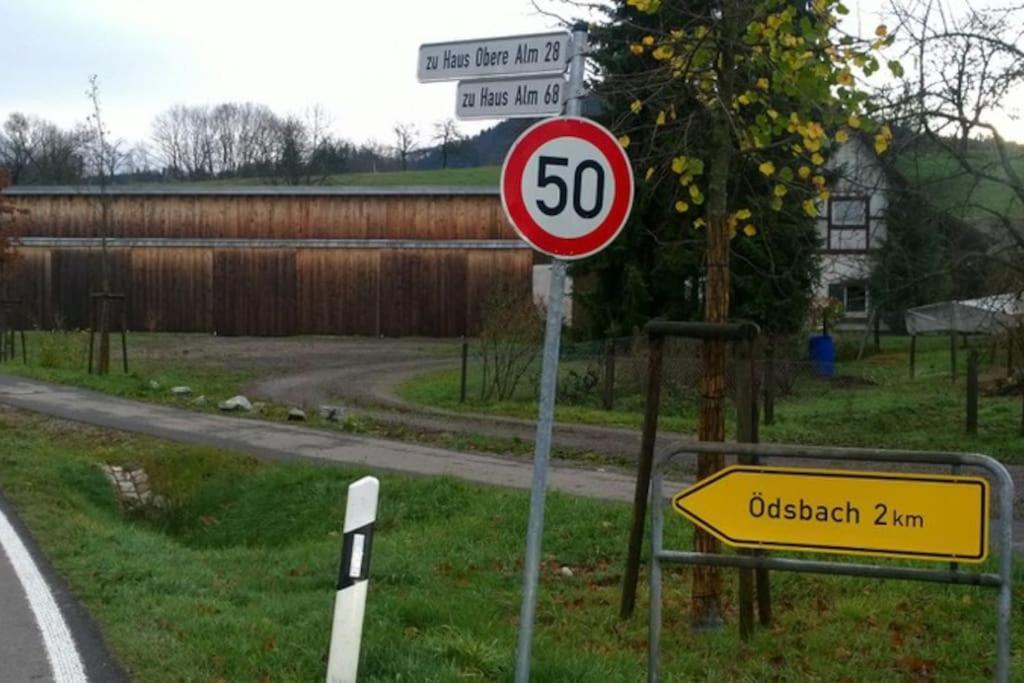 Wohnung Am Fusse Des Schwarzwalds Oberkirch  Ngoại thất bức ảnh