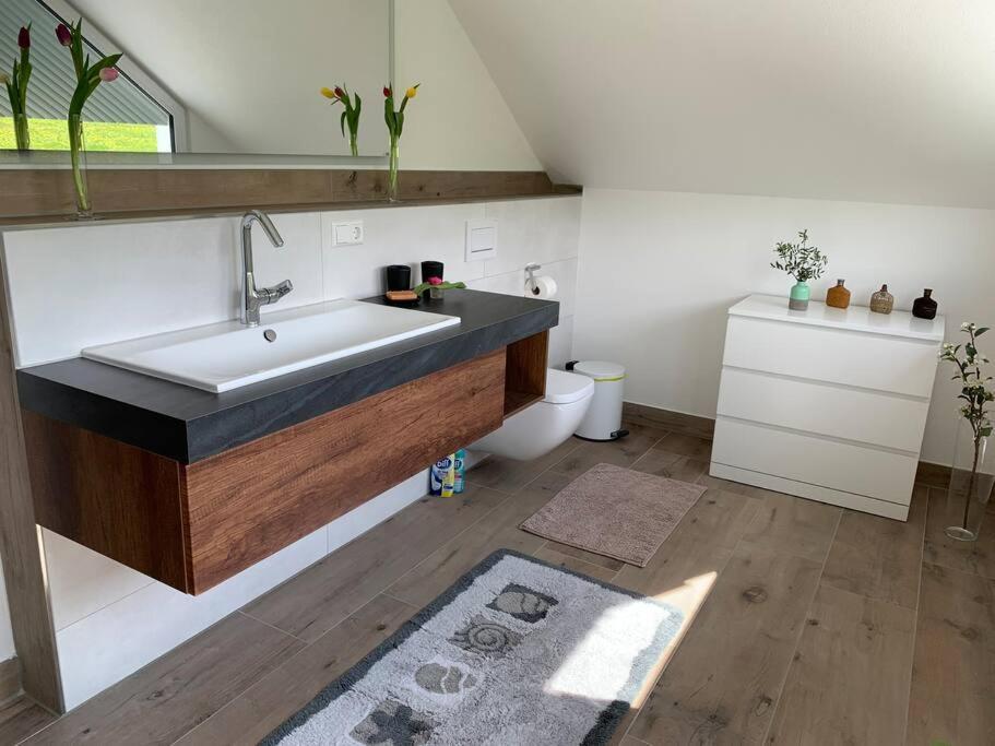 Wohnung Am Fusse Des Schwarzwalds Oberkirch  Ngoại thất bức ảnh