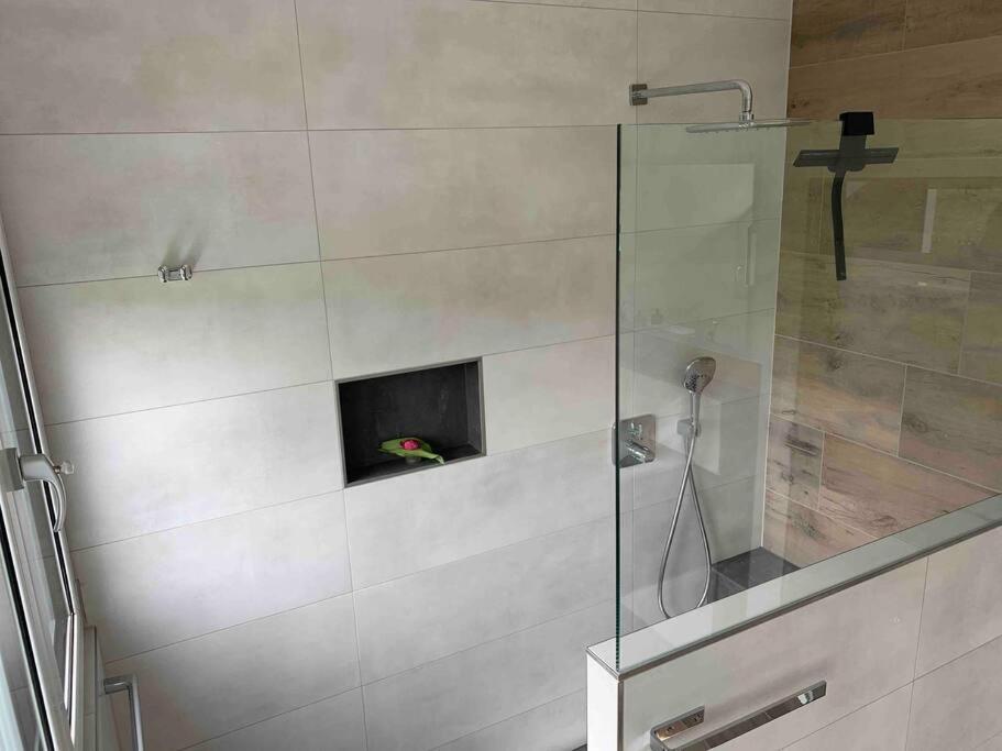 Wohnung Am Fusse Des Schwarzwalds Oberkirch  Ngoại thất bức ảnh