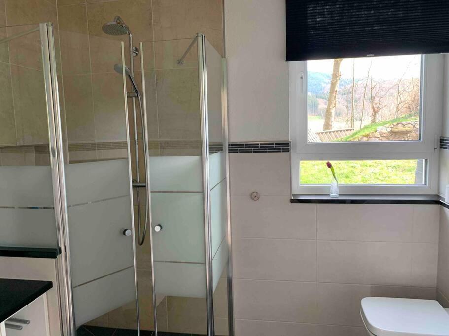 Wohnung Am Fusse Des Schwarzwalds Oberkirch  Ngoại thất bức ảnh