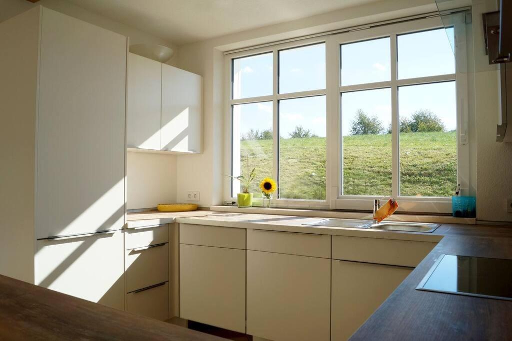 Wohnung Am Fusse Des Schwarzwalds Oberkirch  Ngoại thất bức ảnh